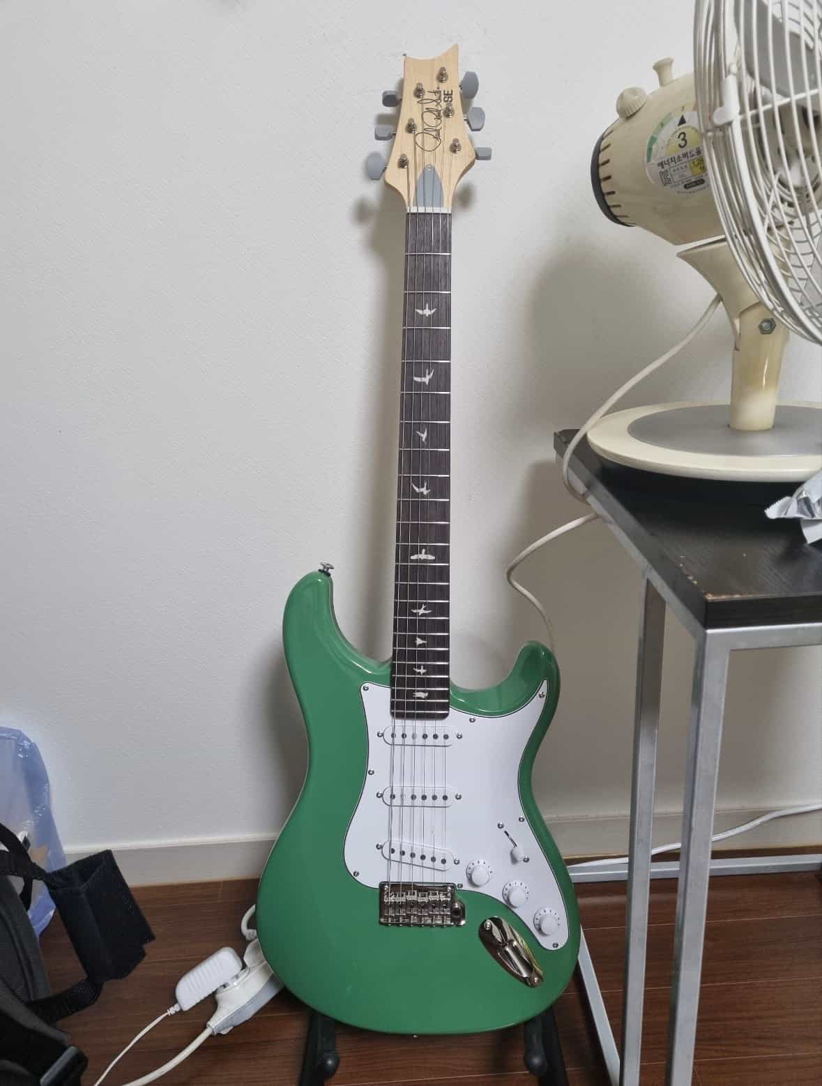 PRS Guitars-SE Silver Sky-1