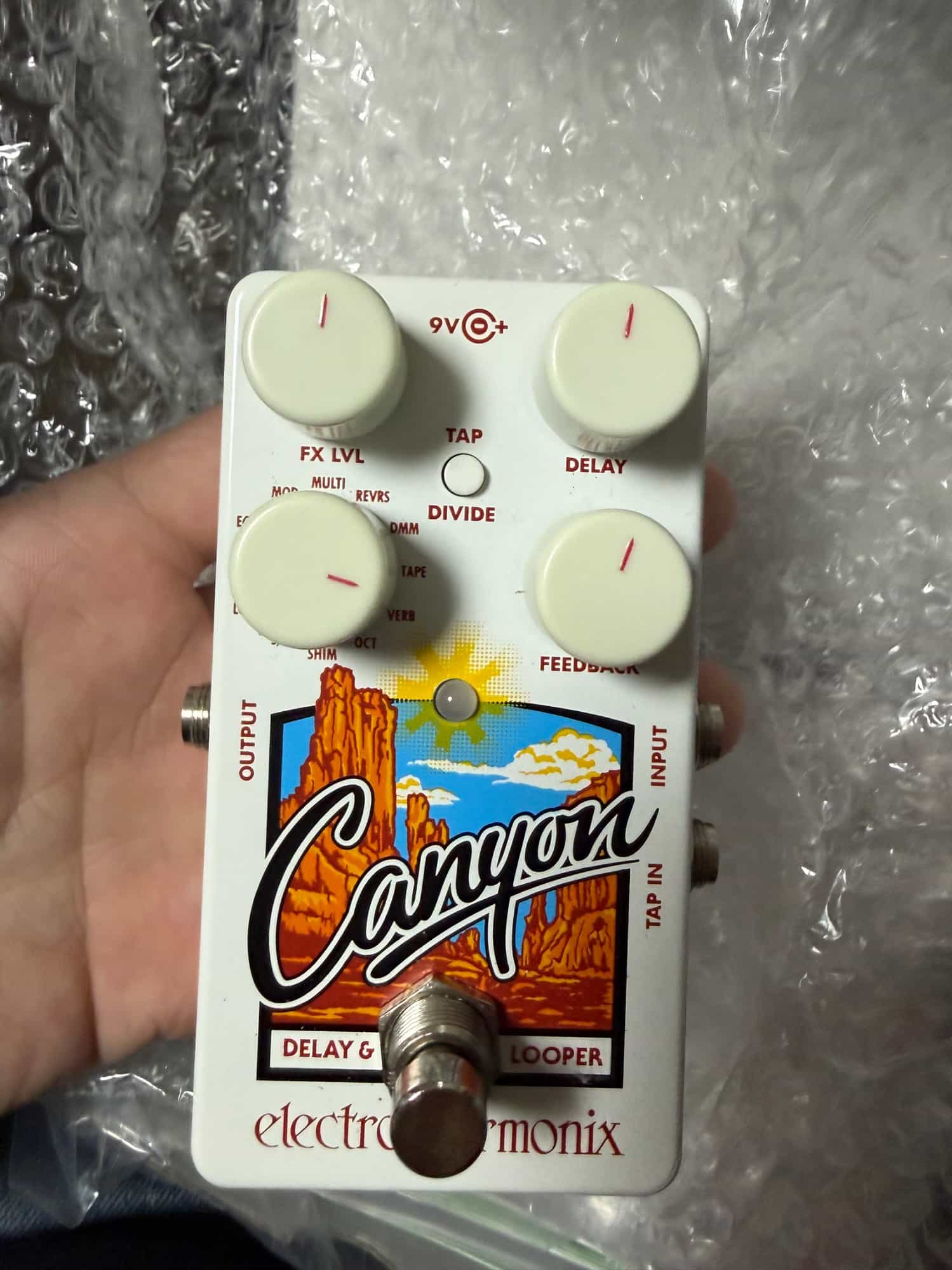 Electro-Harmonix-Canyon-1