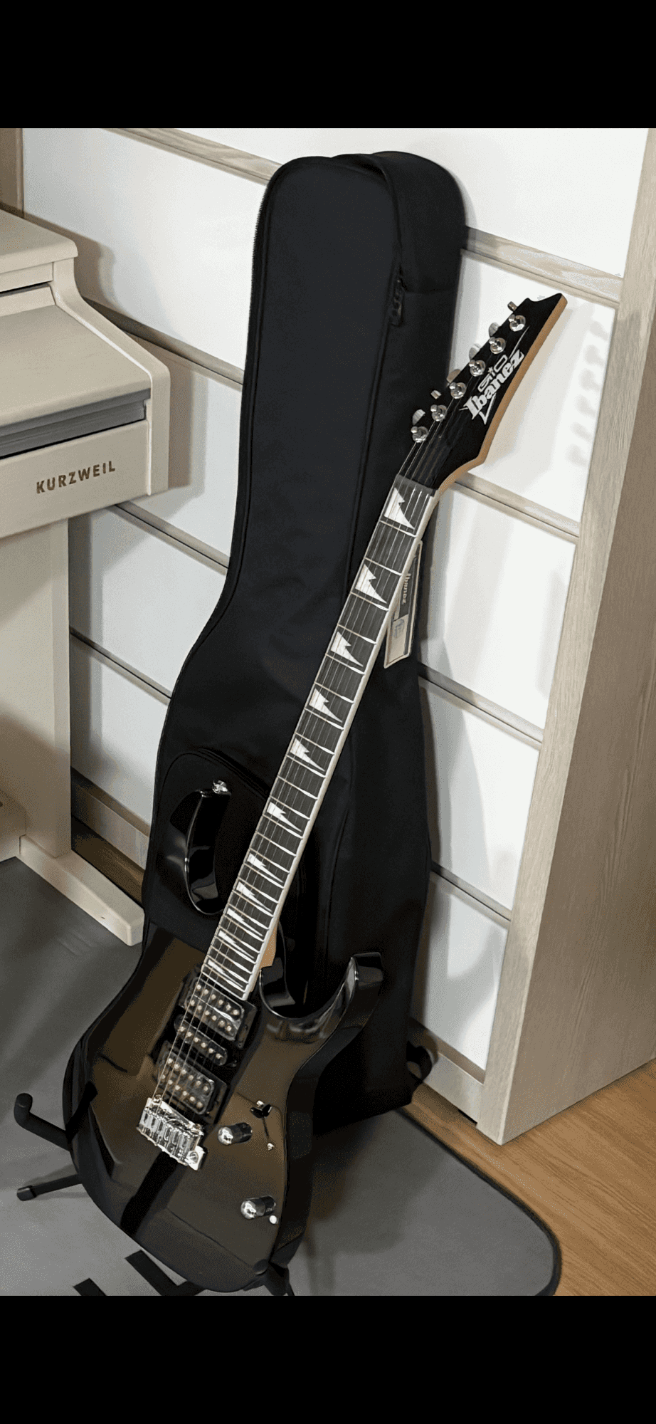 Ibanez-GIO-1